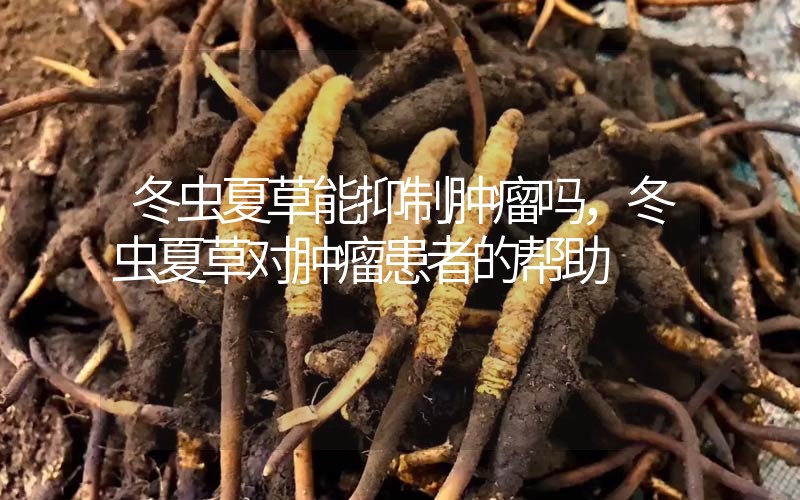 冬蟲夏草能抑制腫瘤嗎？冬蟲夏草對腫瘤患者的幫助