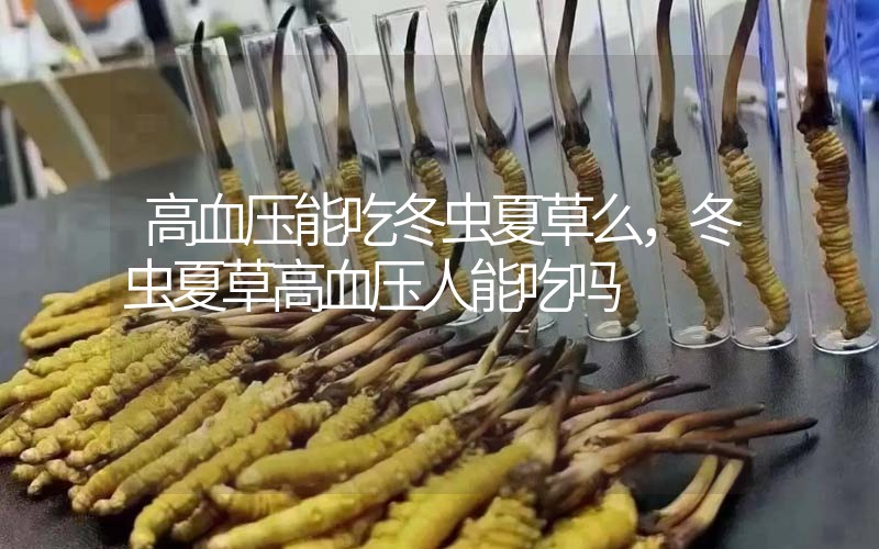 高血壓能吃冬蟲夏草么，冬蟲夏草高血壓人能吃嗎