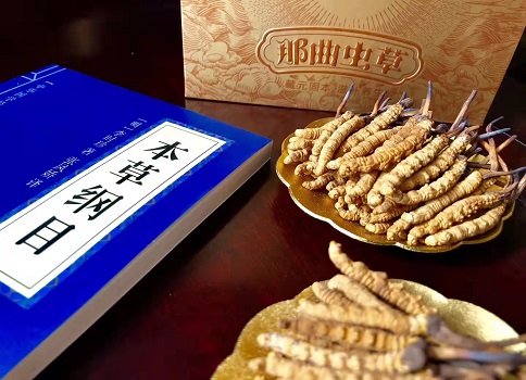 冬蟲夏草真就那么好嗎？它的主要功能是什么呀