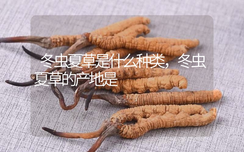 冬蟲夏草是什么種類，冬蟲夏草的產(chǎn)地是