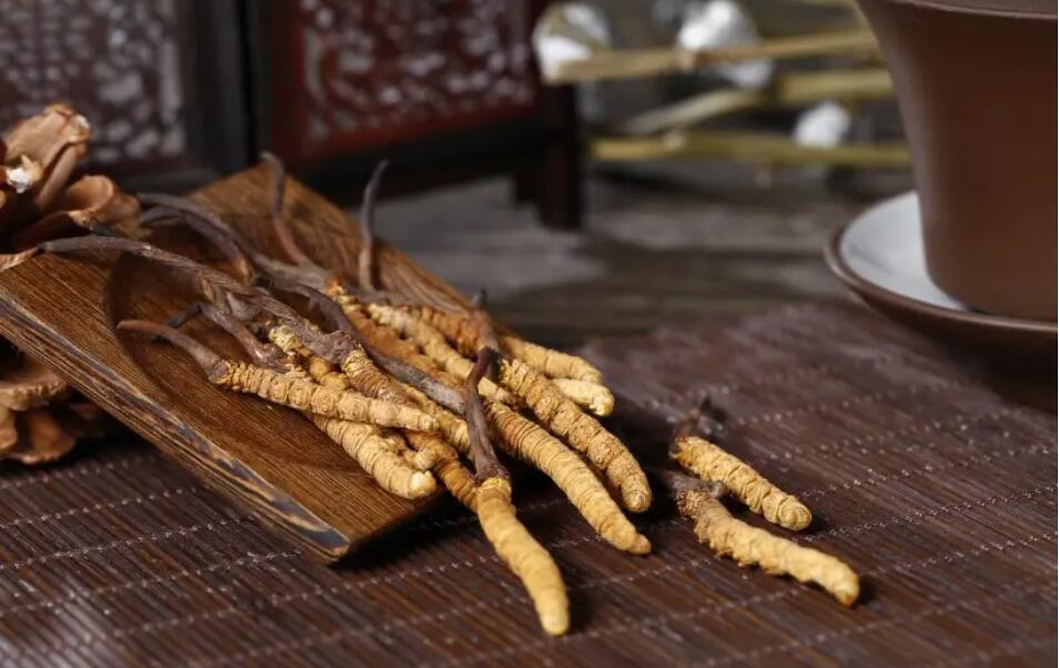 冬蟲夏草怎么選擇，冬蟲夏草選怎么樣的最好?