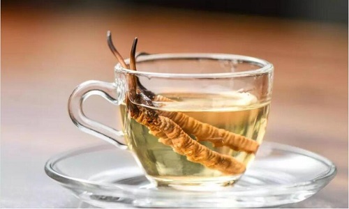 冬蟲夏草怎么吃最好？冬蟲夏草最佳的吃法