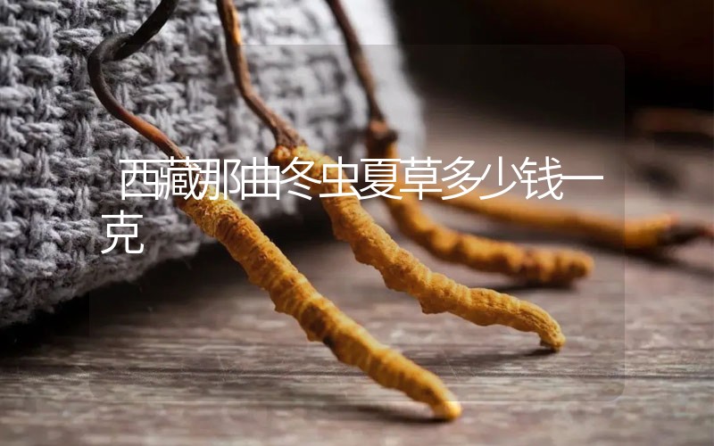 西藏那曲冬蟲夏草多少錢一克？