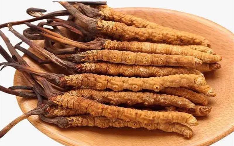 雜多新鮮冬蟲(chóng)夏草價(jià)格表