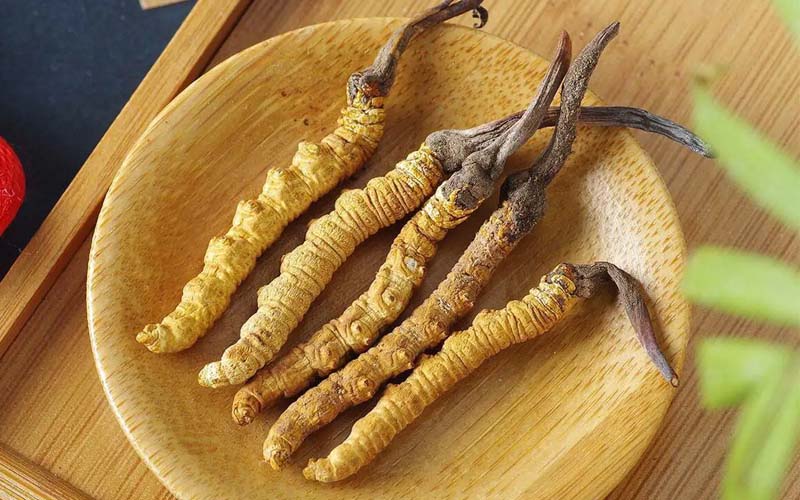 冬蟲夏草作用可以調(diào)節(jié)身體肝臟功能嗎？