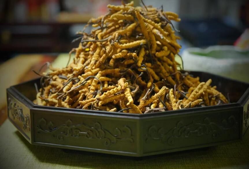 <a href=http://www.jiangnongst.com/ target=_blank class=infotextkey>冬蟲夏草</a>