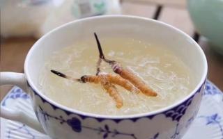 冬蟲夏草對(duì)男性與女性的不同表現(xiàn)