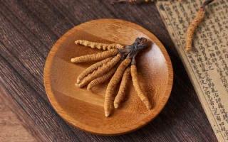 冬蟲夏草獨特的文化？