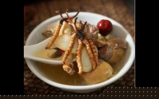 冬蟲夏草的烹飪技巧與食用方法