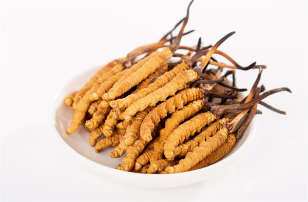 冬蟲夏草和夾脊魚搭配怎么吃？