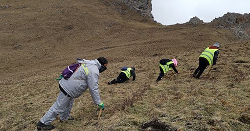 <a href=http://www.jiangnongst.com/sdph/zf/ target=_blank class=infotextkey>珍峰冬蟲夏草</a>:源自世界屋脊的養(yǎng)生瑰寶