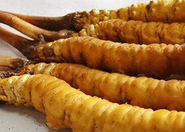 <a href=http://www.jiangnongst.com/sdph/zf/ target=_blank class=infotextkey>珍峰冬蟲夏草</a>主要的銷售模式