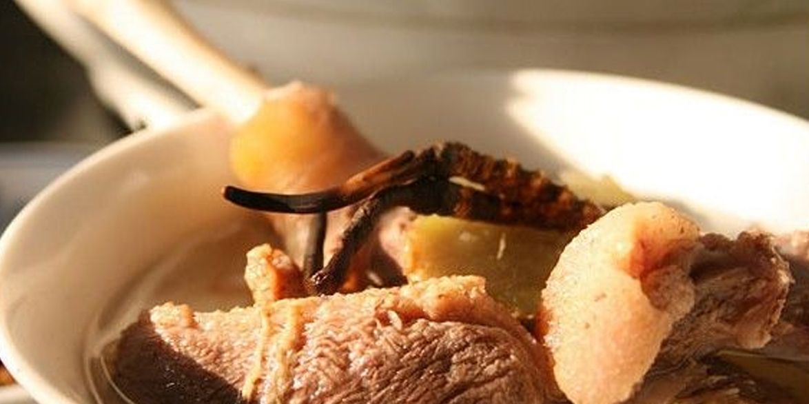 冬蟲夏草怎么吃？多種食用方法全解析