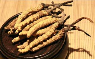 探秘西藏冬蟲夏草最大產(chǎn)地 —— 那曲