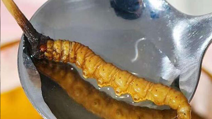 冬蟲(chóng)夏草鮮草冷凍后這樣吃，營(yíng)養(yǎng)不流失！