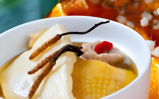 冬蟲夏草的正確吃法：鮮蟲草的獨(dú)特魅力與食用指南