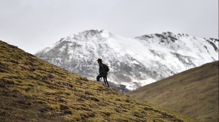 冬蟲夏草適合在什么地方生長(zhǎng)