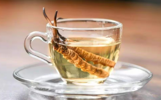 一杯蟲(chóng)草水，健康新滋味：冬蟲(chóng)夏草泡水喝的奇妙功效