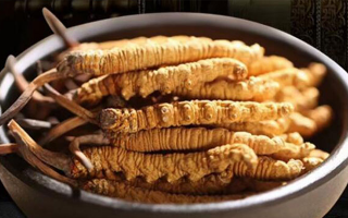 冬蟲夏草燉湯會(huì)上火嗎？科學(xué)解析滋補(bǔ)與上火的平衡之道