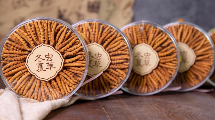 同仁堂<a href=http://www.jiangnongst.com/chanpin/ target=_blank class=infotextkey>冬蟲(chóng)夏草禮盒</a>：珍稀饋贈(zèng)，品質(zhì)之選