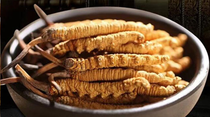 好的<a href=http://www.jiangnongst.com/jiage/ target=_blank class=infotextkey>冬蟲夏草多少錢</a>一克