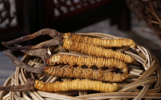 冬蟲夏草是否有保質(zhì)期