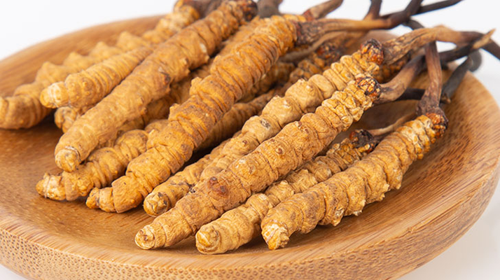 在西藏，冬蟲夏草真的觸手可得？