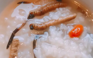 冬蟲夏草適合哪些人群？精準匹配與禁忌提醒