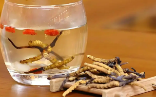 長期喝冬蟲夏草泡水好嗎？科學(xué)分析與飲用指南