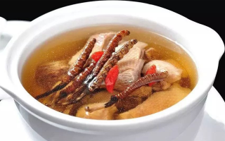 冬蟲夏草怎樣燉是最好的？掌握這幾步，營養(yǎng)不流失還美味