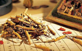 冬蟲夏草最新行情走勢：多因素交織下的市場變局