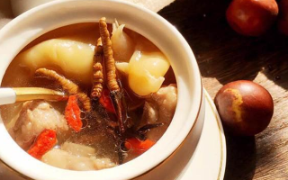 什么是冬蟲夏草主要產地？核心產區(qū)與品質特點全解析