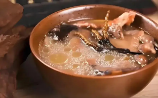 冬蟲夏草治什么病效果好？厘清輔助調(diào)理邊界與適用場景