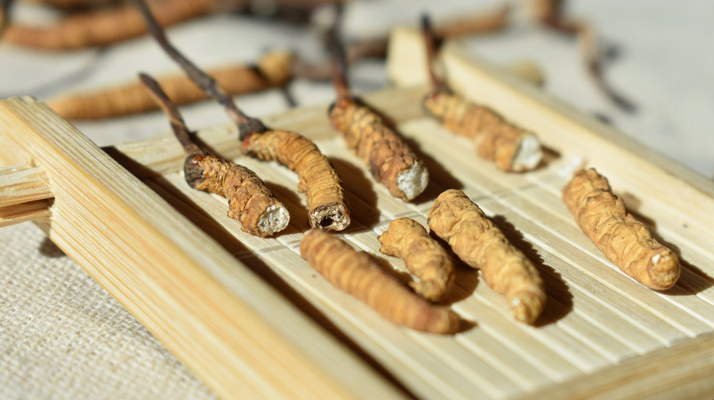 斷的<a href=http://www.jiangnongst.com/ target=_blank class=infotextkey>冬蟲夏草</a>一克啥價(jià) 