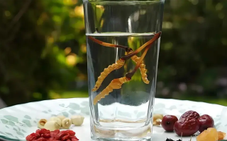 人參配蟲草泡酒，泡多久才好喝？咱跟你說實(shí)在的