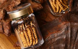 冬蟲(chóng)夏草養(yǎng)生指南：分清滋補(bǔ)功效，避開(kāi)養(yǎng)生誤區(qū)