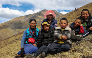 蟲草采挖需要知道的安全常識