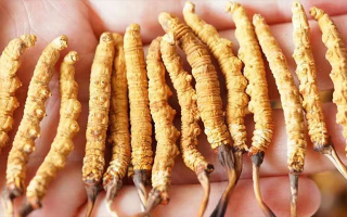 四歲寶寶能吃冬蟲(chóng)夏草嗎？藏農(nóng)神草：科學(xué)滋養(yǎng)，守護(hù)孩童成長(zhǎng)元?dú)?西藏那曲蟲(chóng)草網(wǎng)