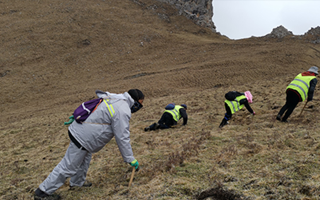 深耕那曲雪域，甄選正宗好草——2026那曲冬蟲夏草優(yōu)質(zhì)品牌盤點(diǎn)